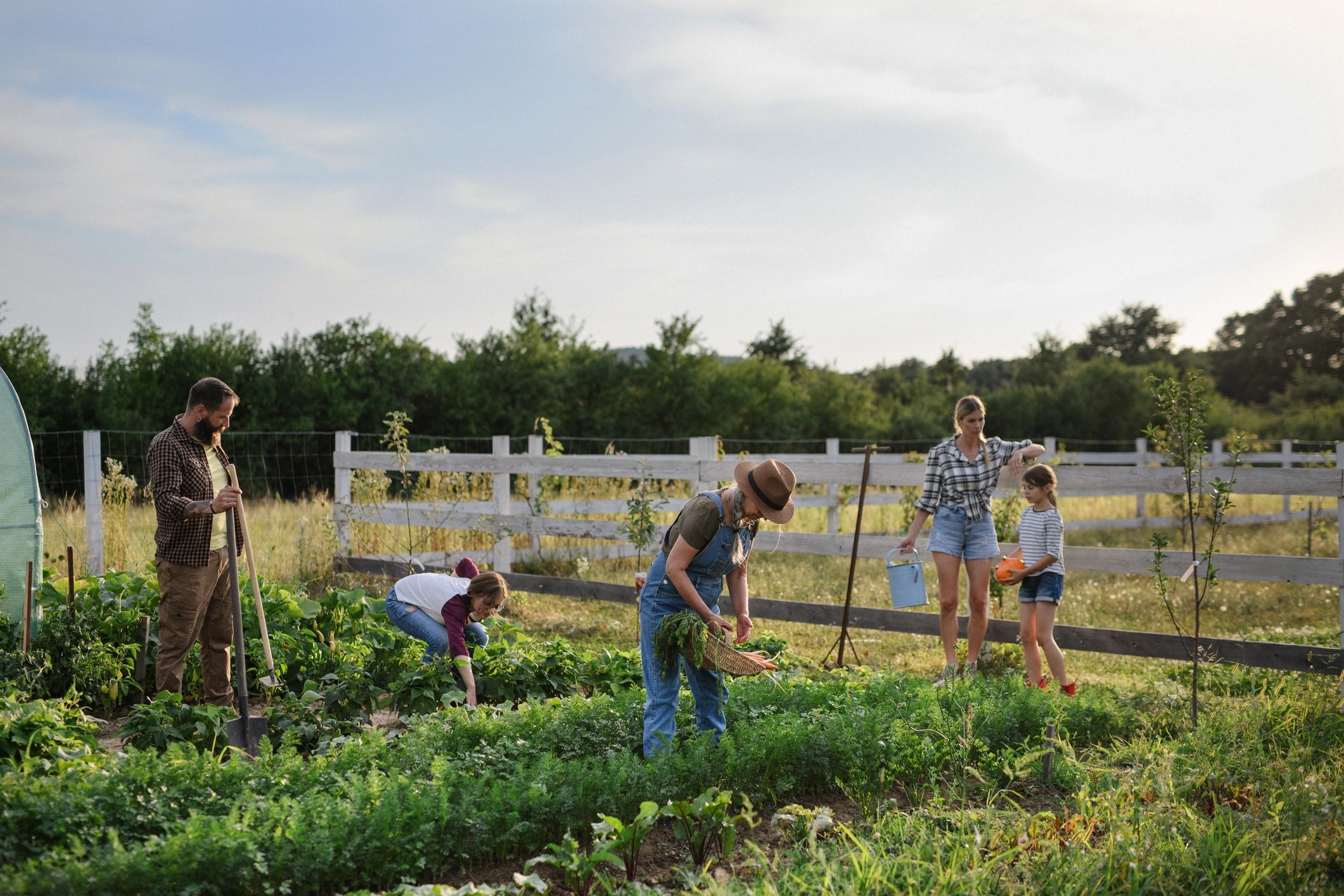 Volunteers working together in the vegetable garden