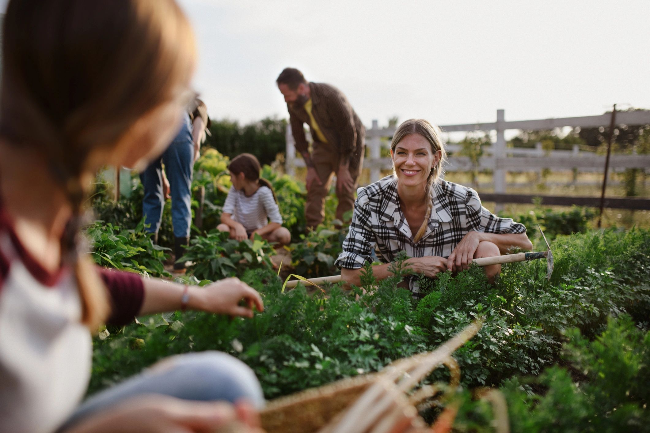 Harvesting produce